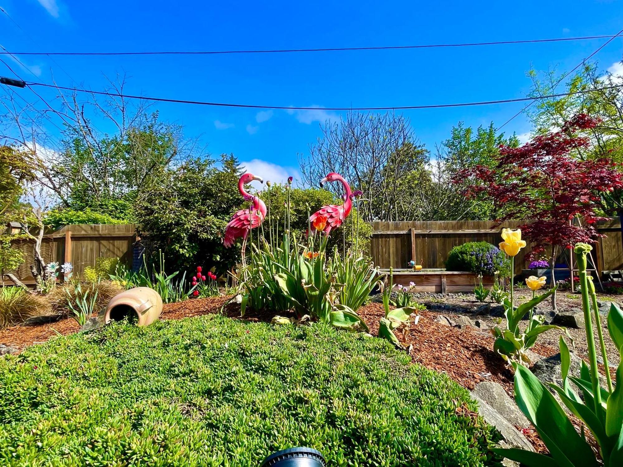 Colorful 50'S Ranch In The Heart Of Eugene Villa Exterior photo