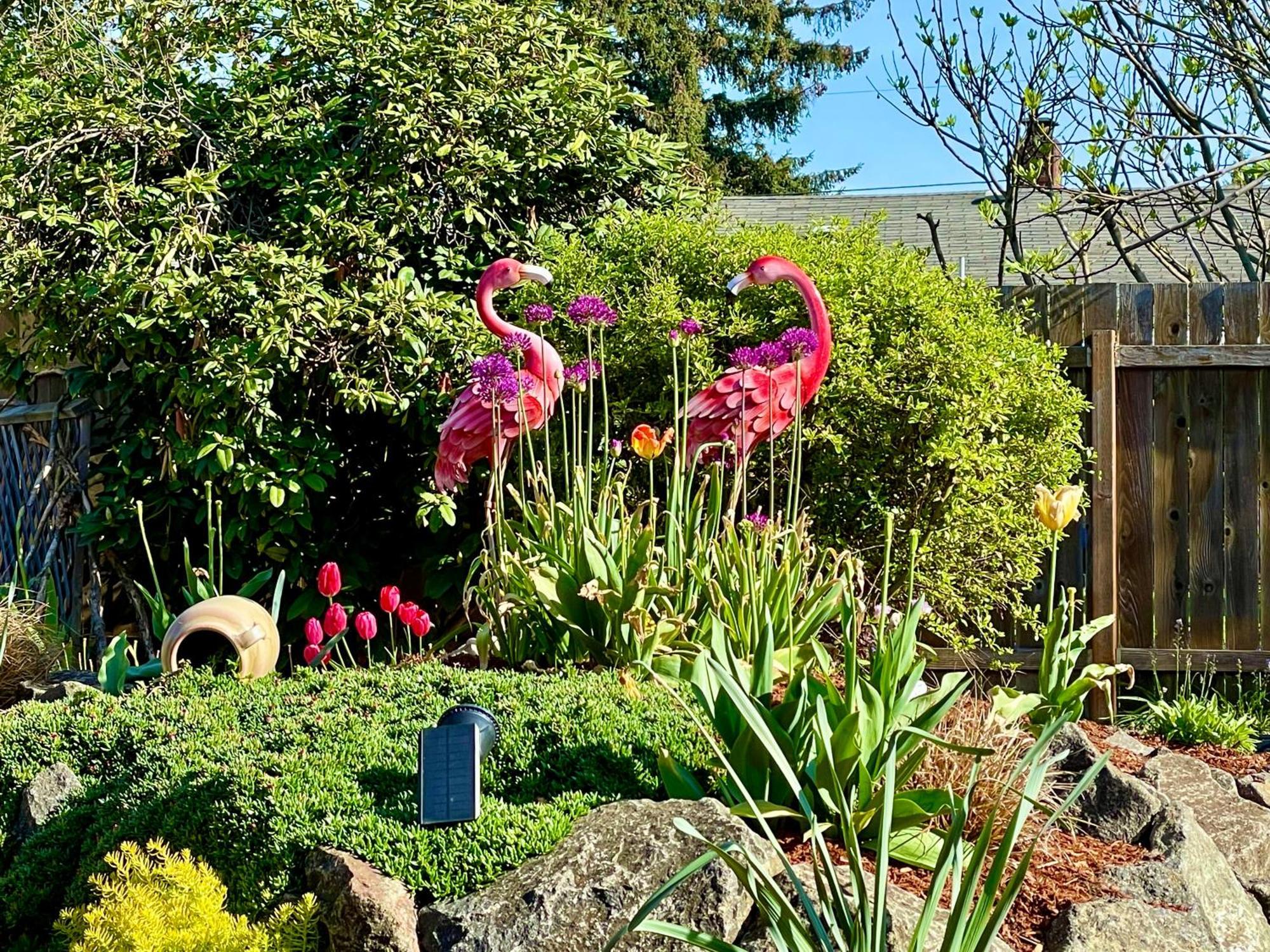 Colorful 50'S Ranch In The Heart Of Eugene Villa Exterior photo
