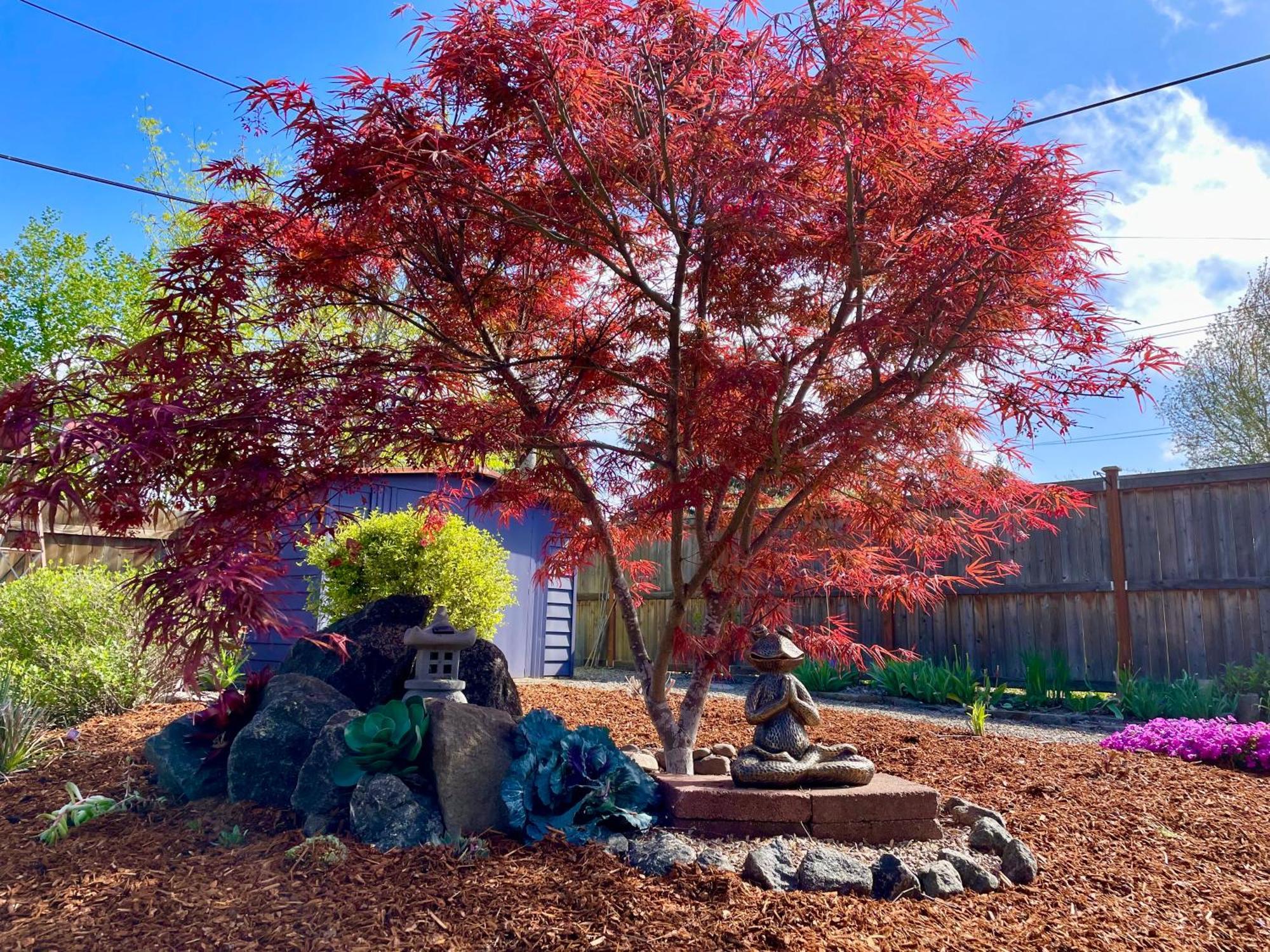 Colorful 50'S Ranch In The Heart Of Eugene Villa Exterior photo