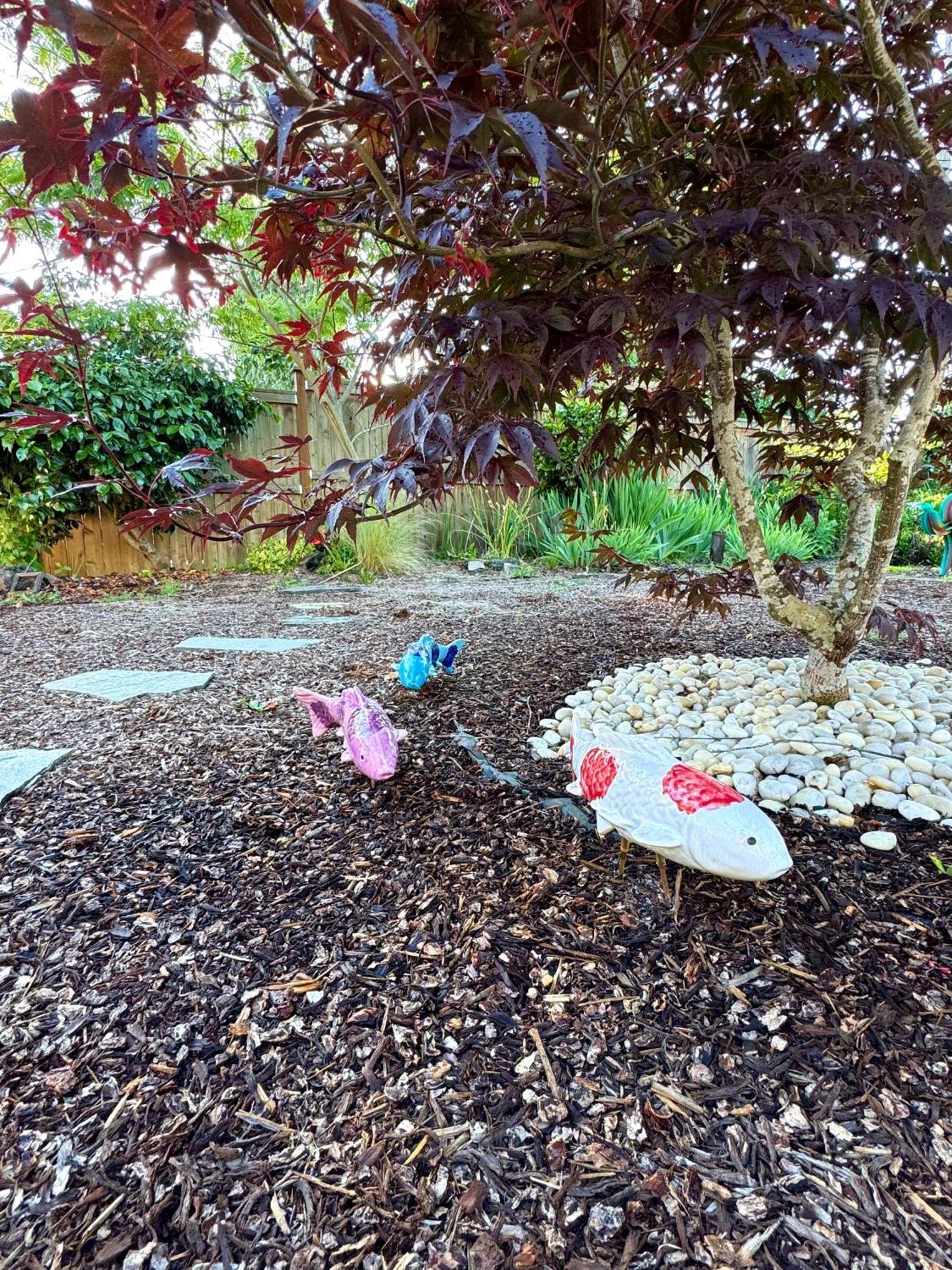 Colorful 50'S Ranch In The Heart Of Eugene Villa Exterior photo