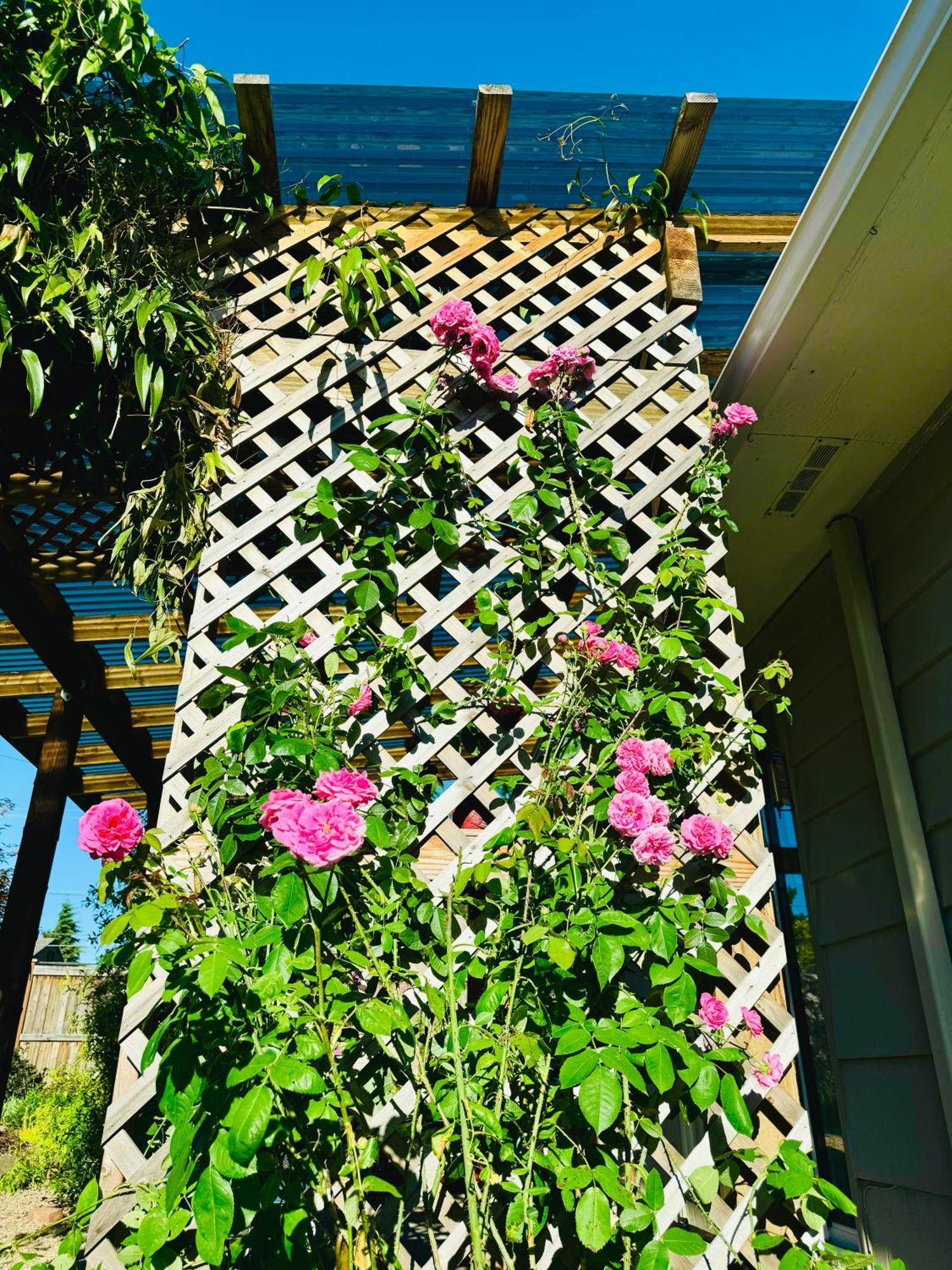 Colorful 50'S Ranch In The Heart Of Eugene Villa Exterior photo